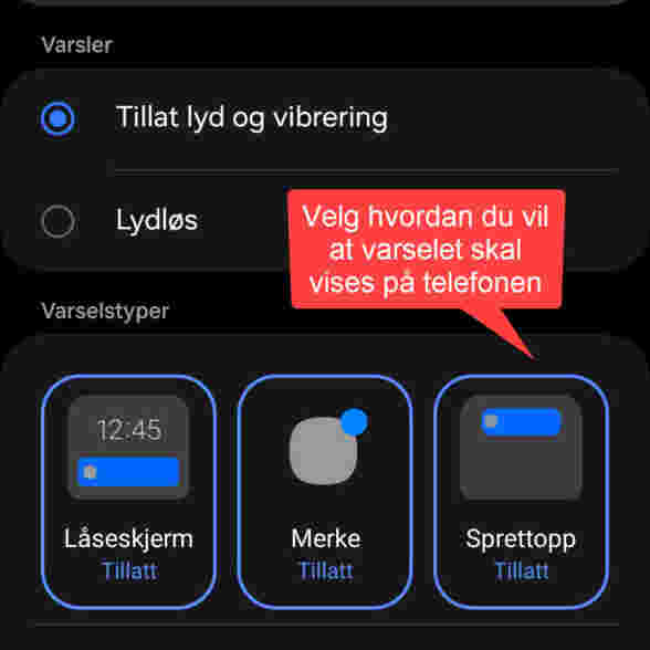 Skjermbilde som viser hvordan du kan velge hvordan varsel fra appen skal vises på en androidtelefon